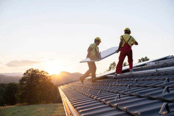 Best Roof Maintenance and Cleaning  in Halfway, MD