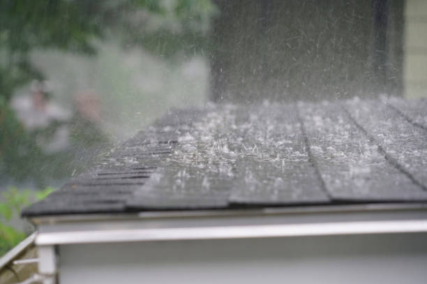 Best Roof Waterproofing  in Halfway, MD
