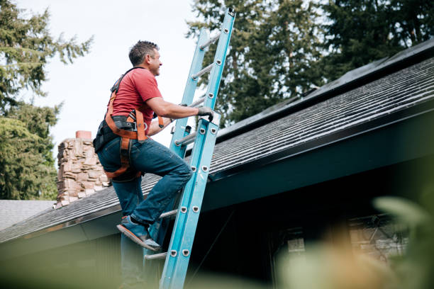 Best Steel Roofing  in Halfway, MD