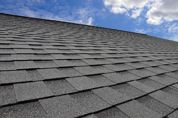 Best Skylight Installation and Repair  in Halfway, MD